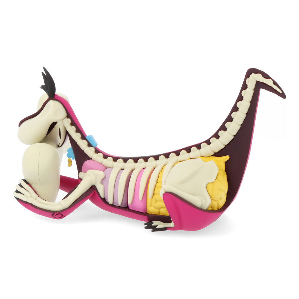 Xxray plus: dino (el Pierrafeu)