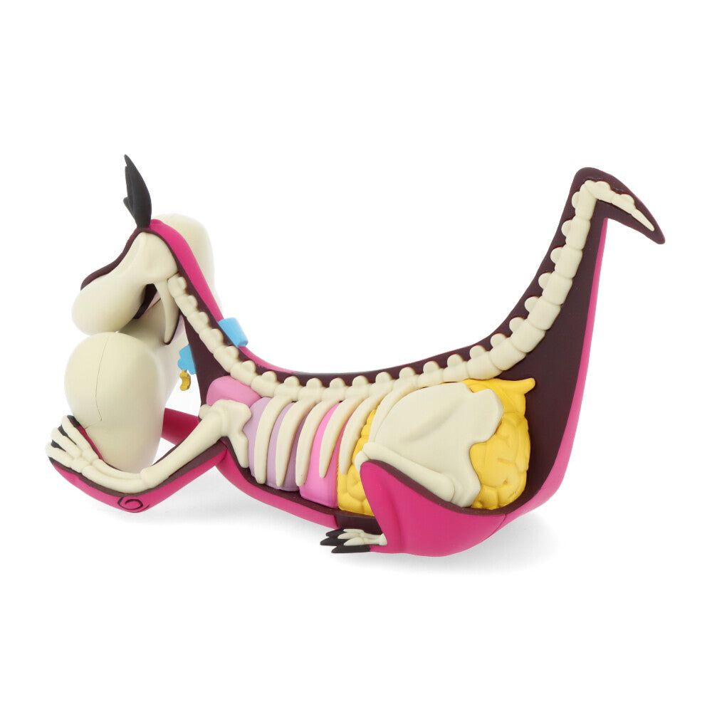 Xxray plus: dino (el Pierrafeu)