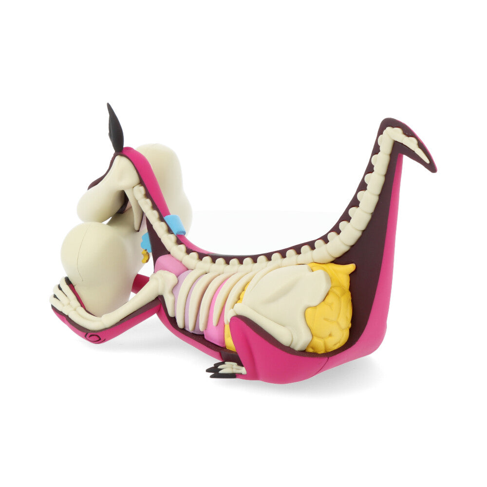 Xxray plus: dino (el Pierrafeu)