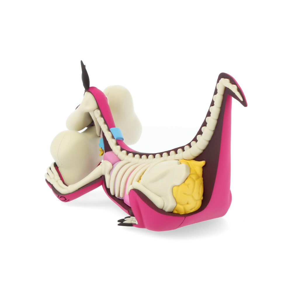 Xxray plus: dino (el Pierrafeu)