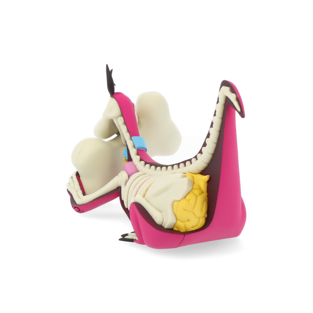 Xxray plus: dino (el Pierrafeu)