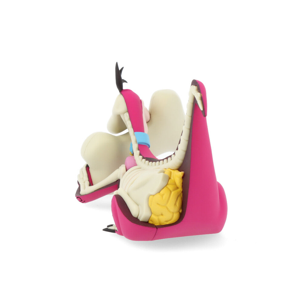 Xxray plus: dino (el Pierrafeu)