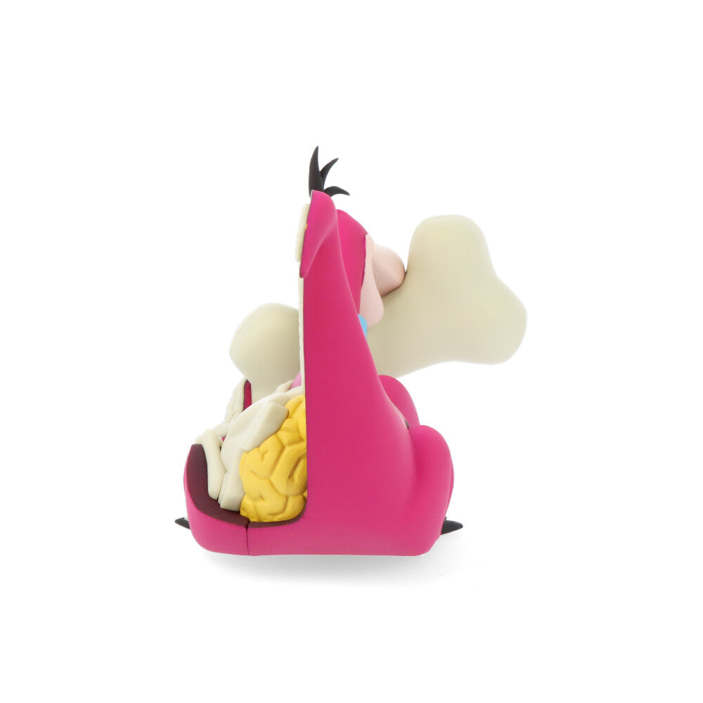 Xxray plus: dino (el Pierrafeu)