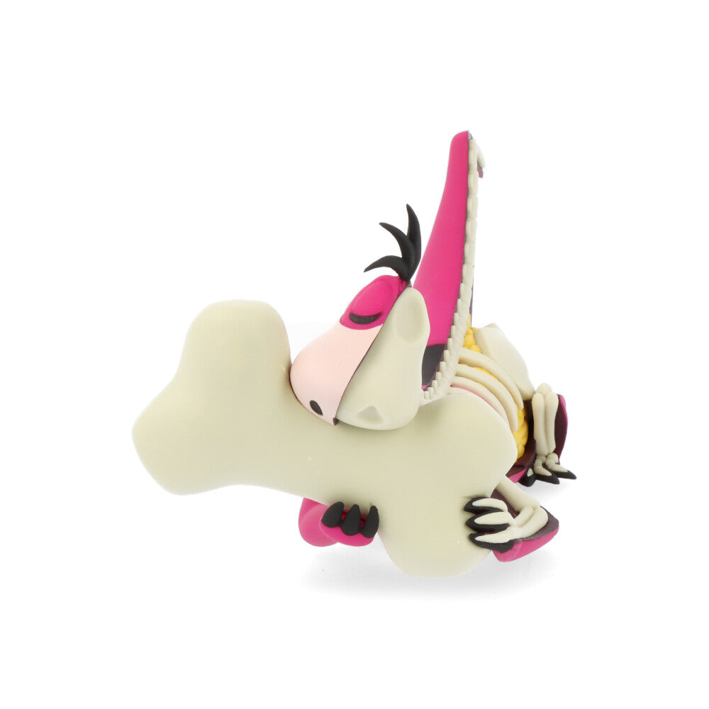 Xxray plus: dino (el Pierrafeu)