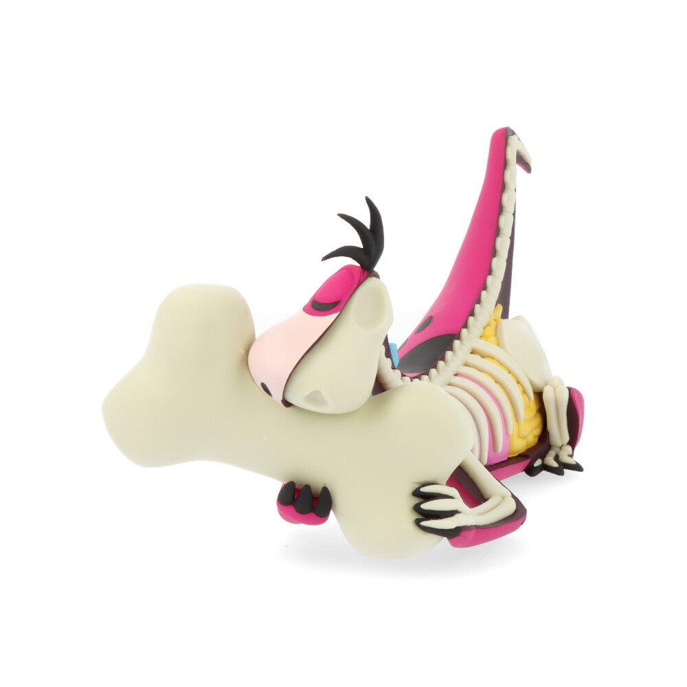 Xxray plus: dino (el Pierrafeu)