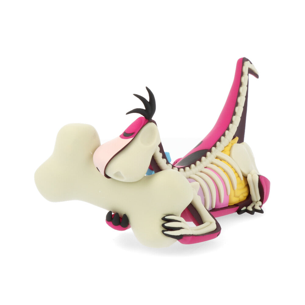 Xxray plus: dino (el Pierrafeu)