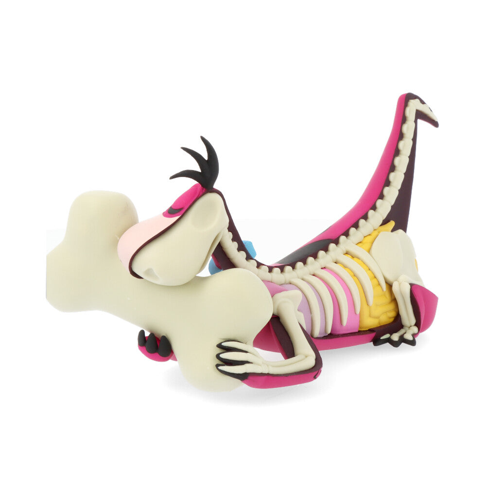 Xxray plus: dino (el Pierrafeu)