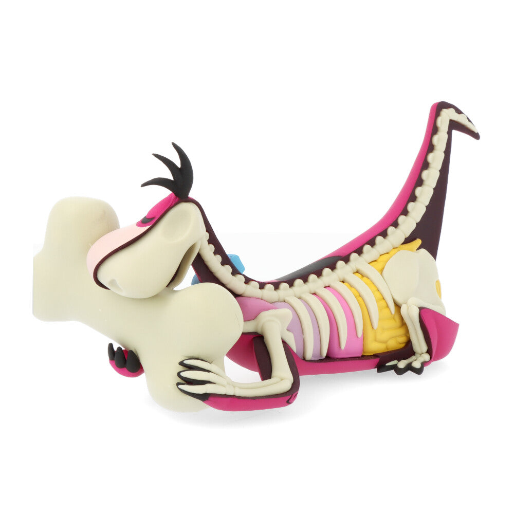 Xxray plus: dino (el Pierrafeu)