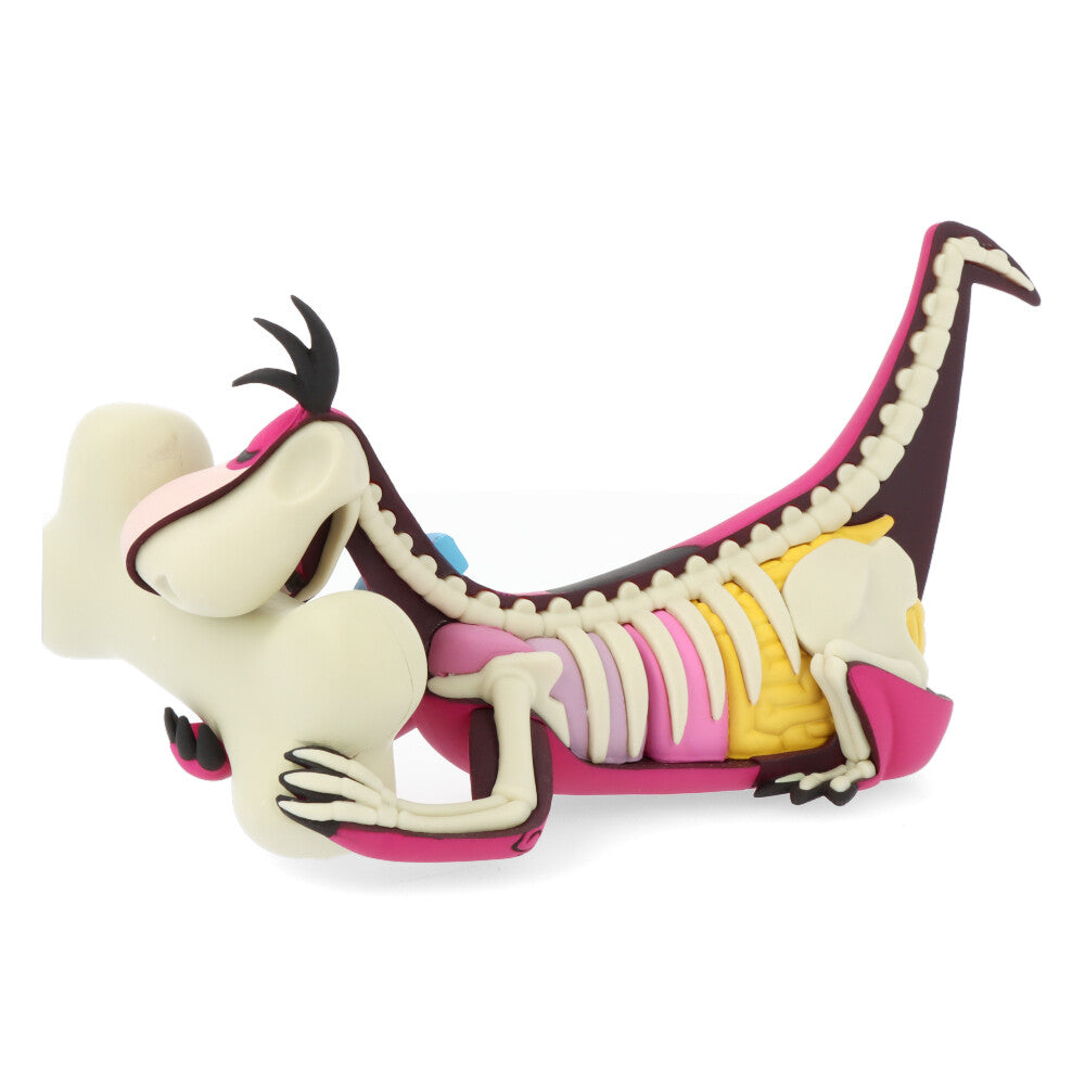 Xxray plus: dino (el Pierrafeu)