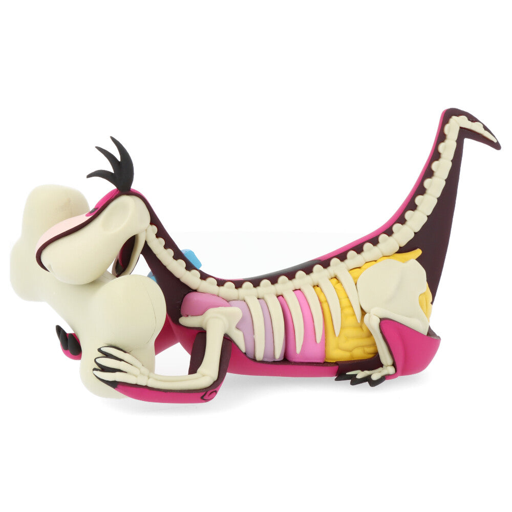 Xxray plus: dino (el Pierrafeu)