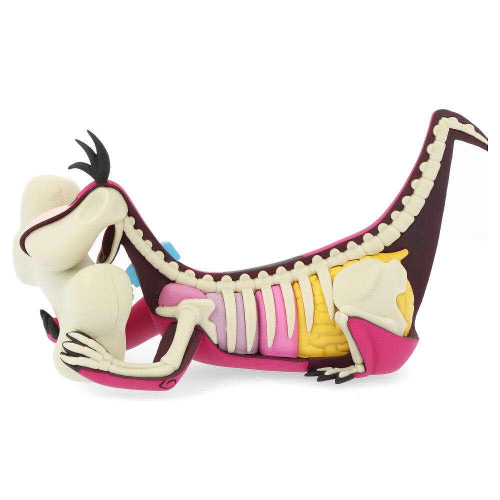 Xxray plus: dino (el Pierrafeu)