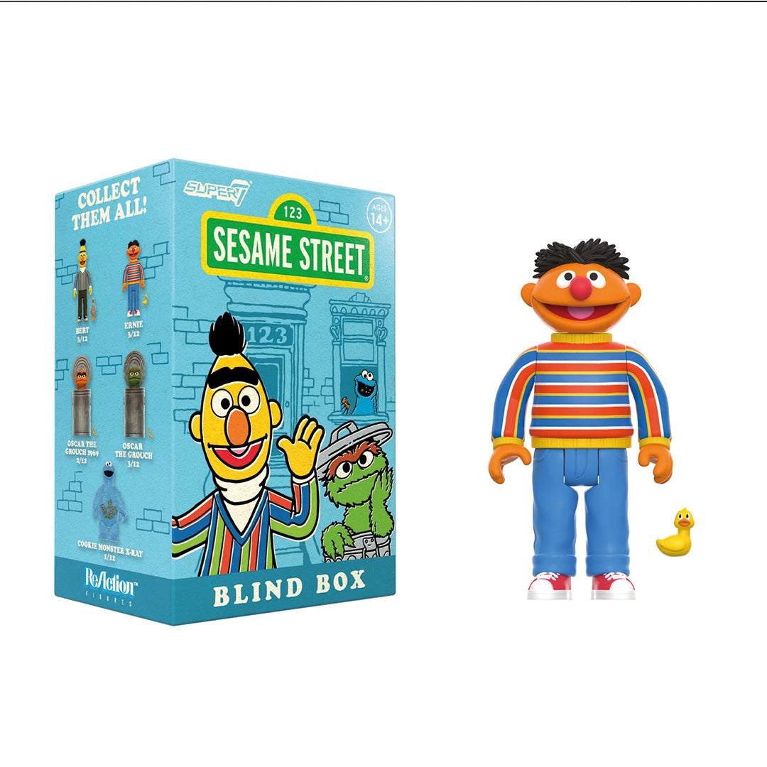 Blind Box Flat - Sesame Street Blind Box Wave 1