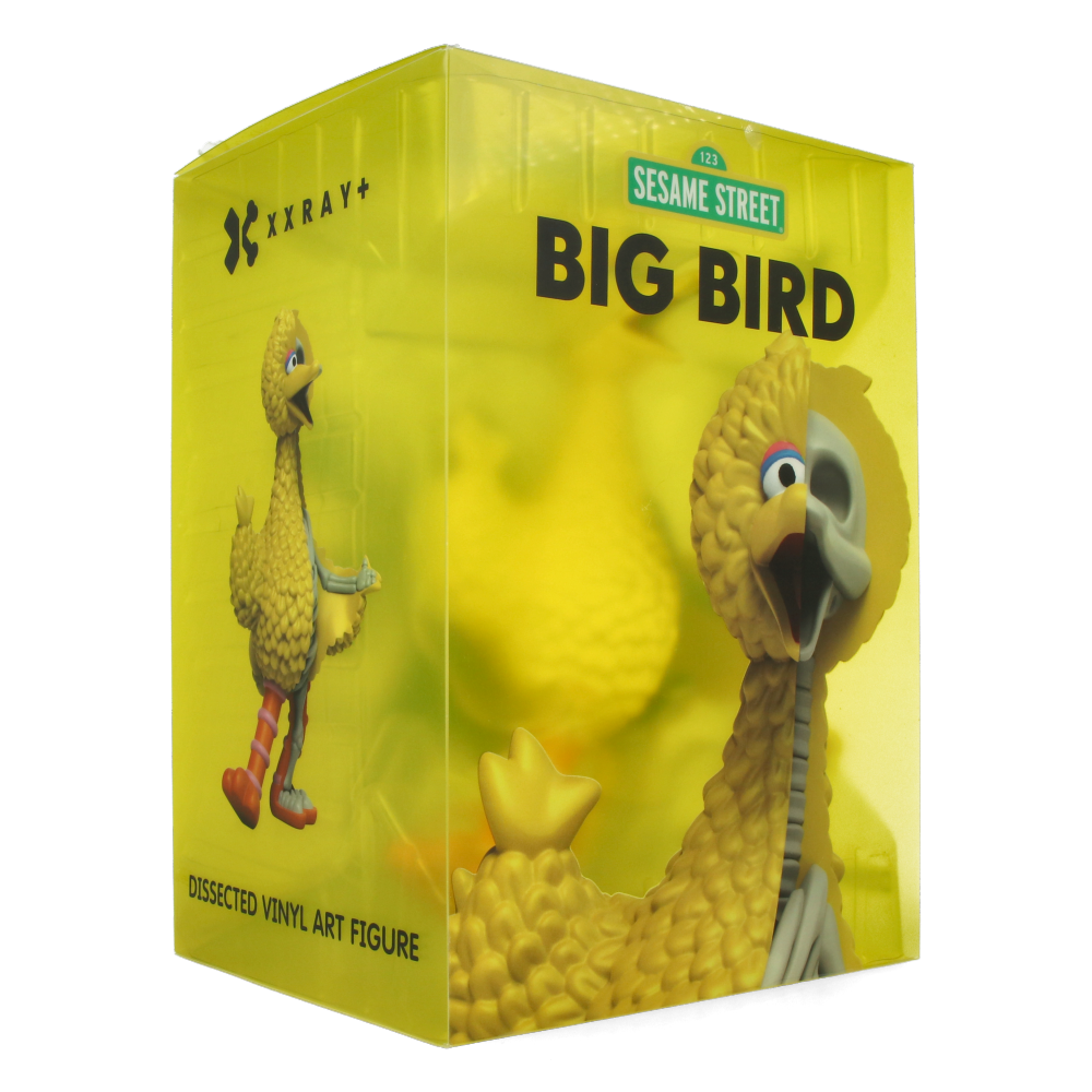 XXRAY Plus : Sesame Street Big Bird