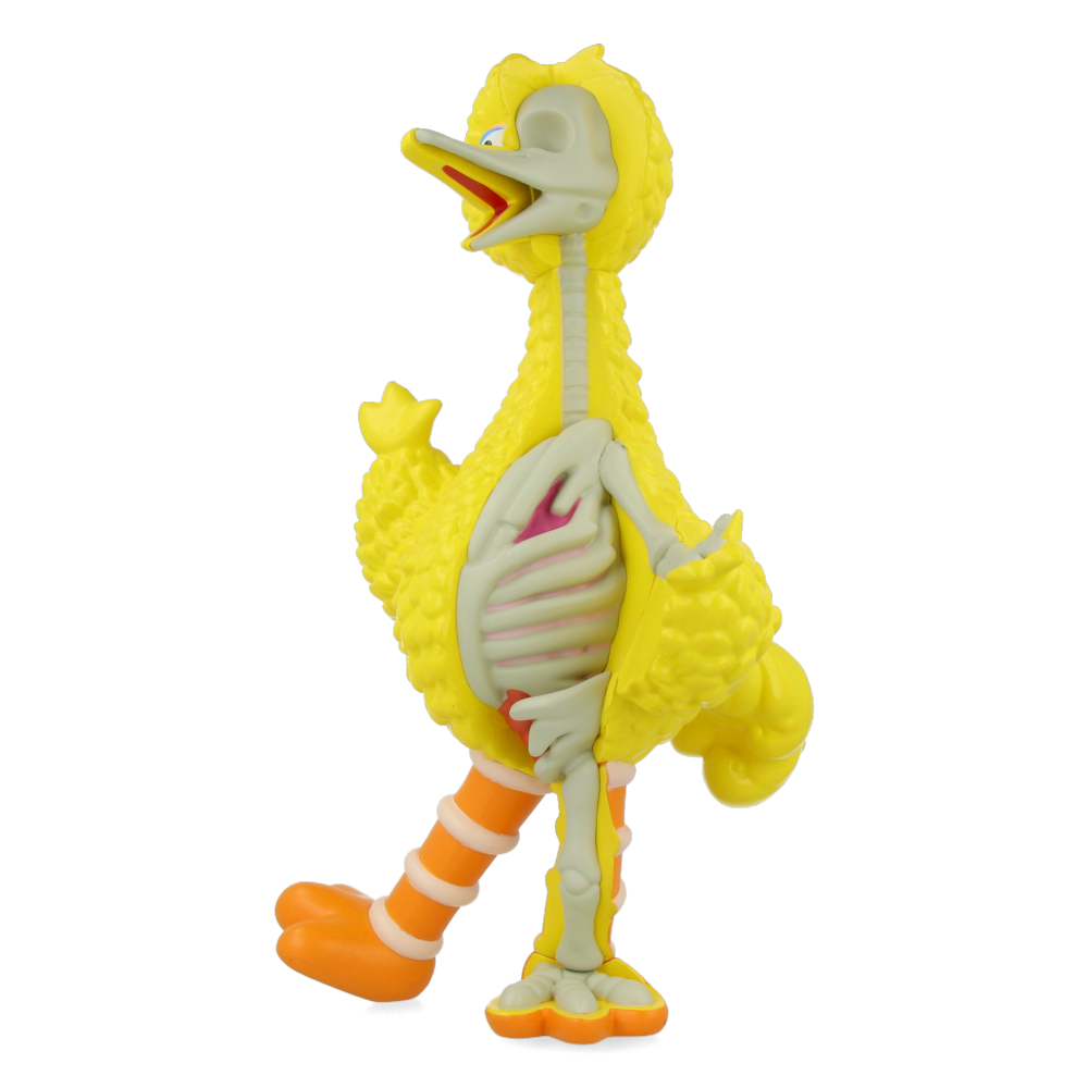 XXRAY Plus : Sesame Street Big Bird