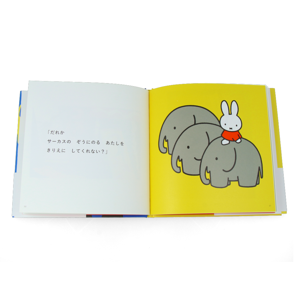 Miffy and Painting (3 Books pack)