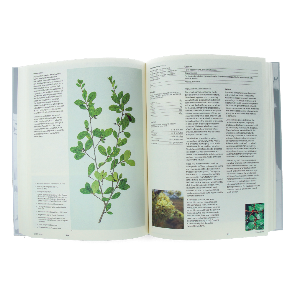 Psychoactive Plants and Fungi : A Cultural Guide to 42 Plants and Fungi That Shift the Mind - Thames & Hudson Book