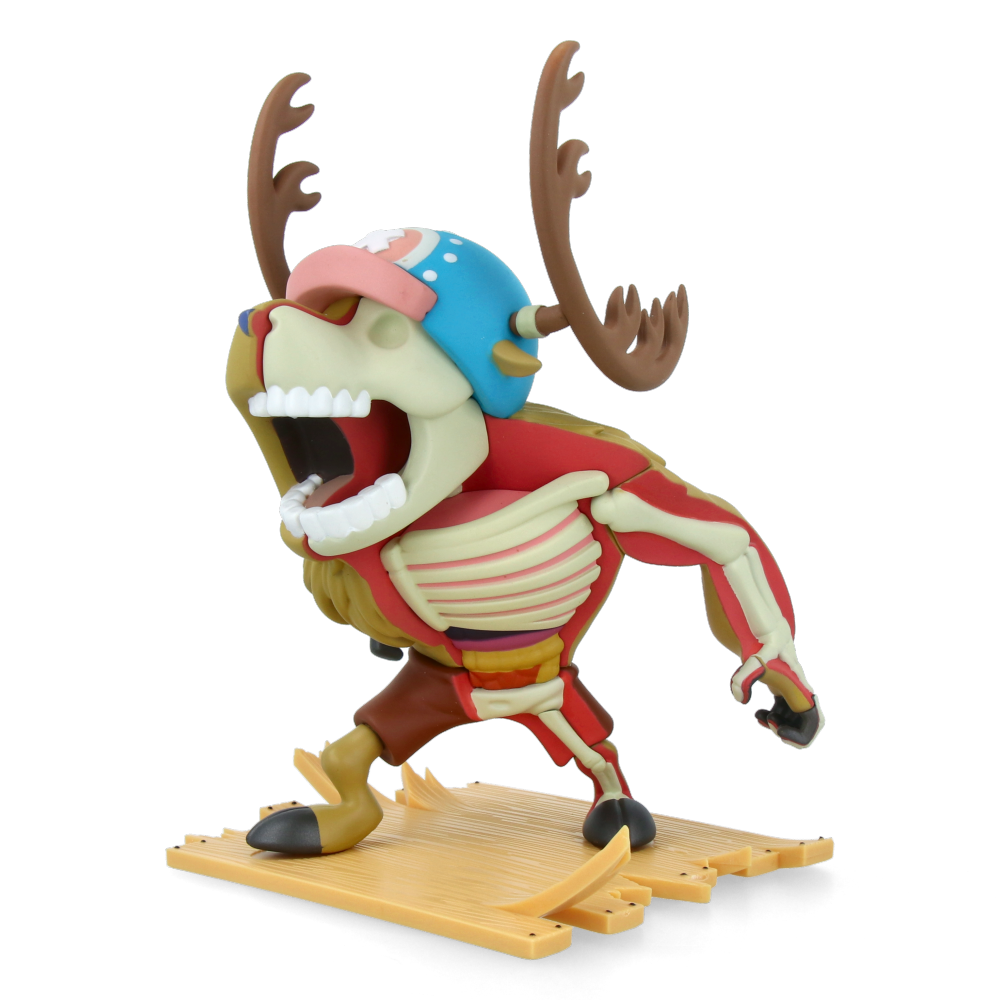 XXRAY Plus Monster Point