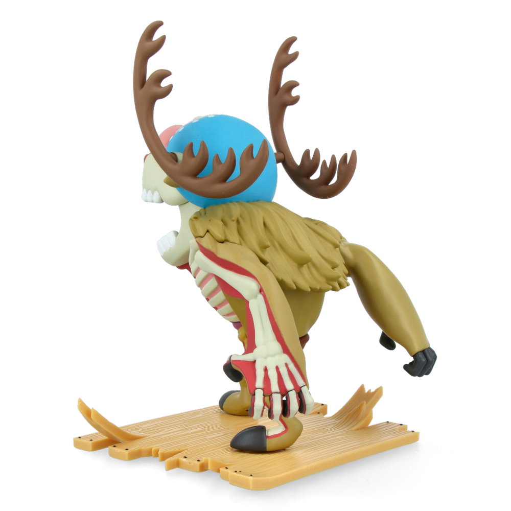 XXRAY Plus Monster Point