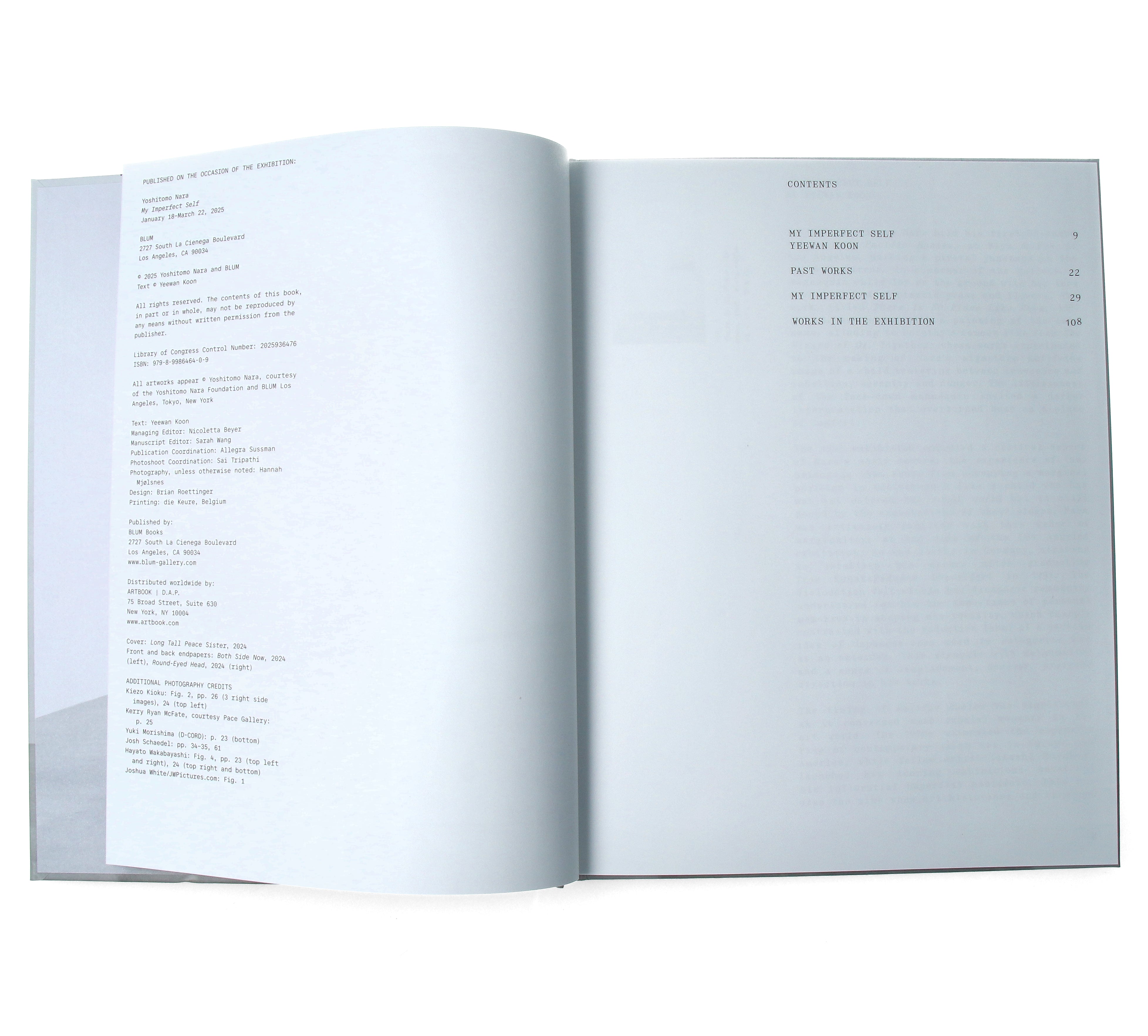 Yoshitomo Nara - My Imperfect Self