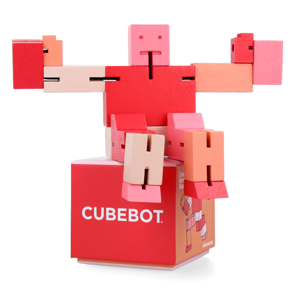 Cubebot - Small - Red Multi