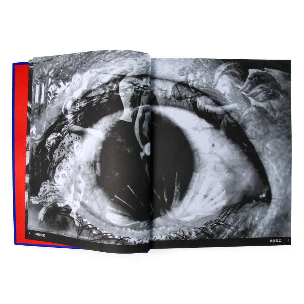 Japan Art Revolution : The Japanese Avant-Garde from Angura to Provoke