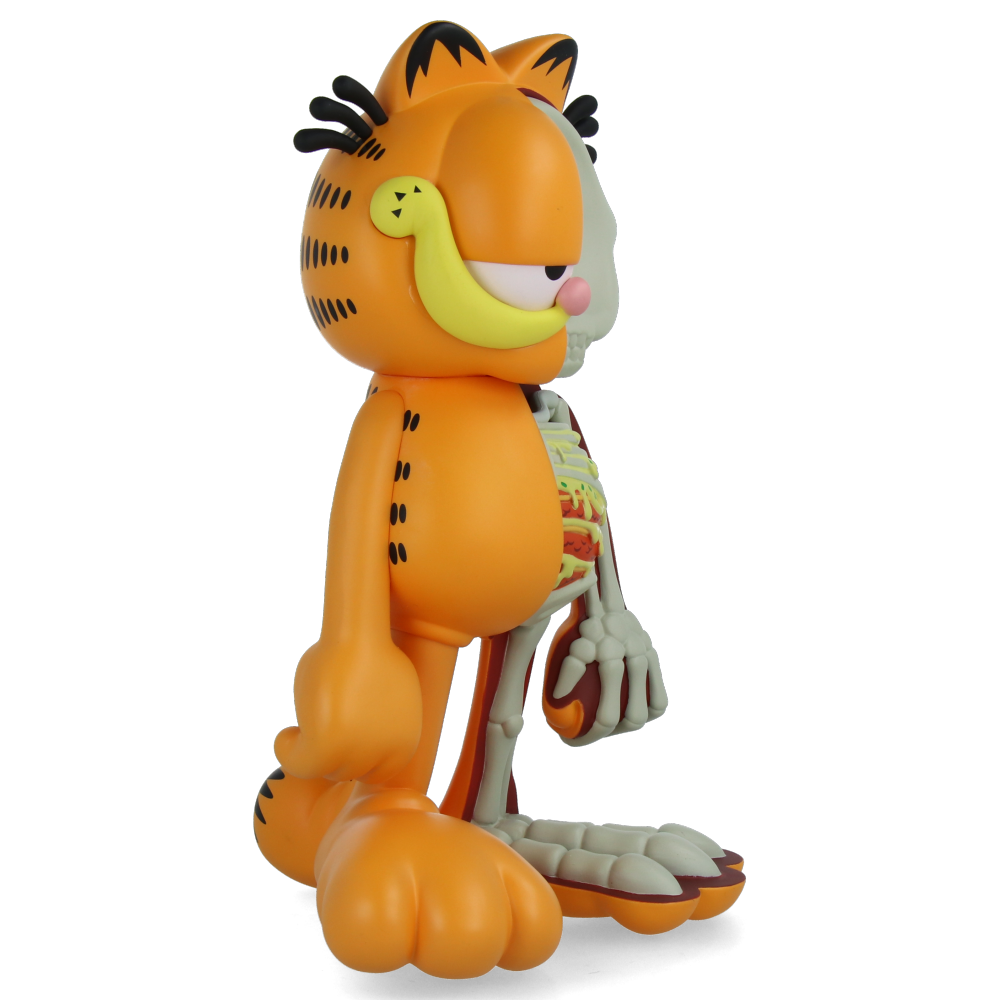 XXRAY Plus Garfield