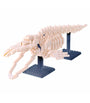 Nanoblock - Esqueleto de ballena azul - NBM 010