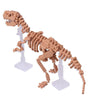 Nanoblock - Esqueleto de t -rex deluxe - nbm 012