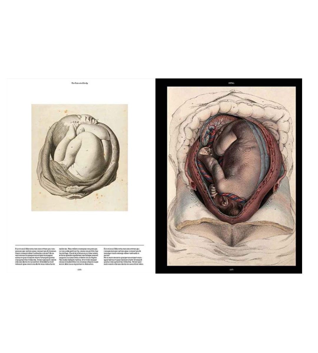Anatomica, The Exquisite and Unsettling Art of Human Anatomy