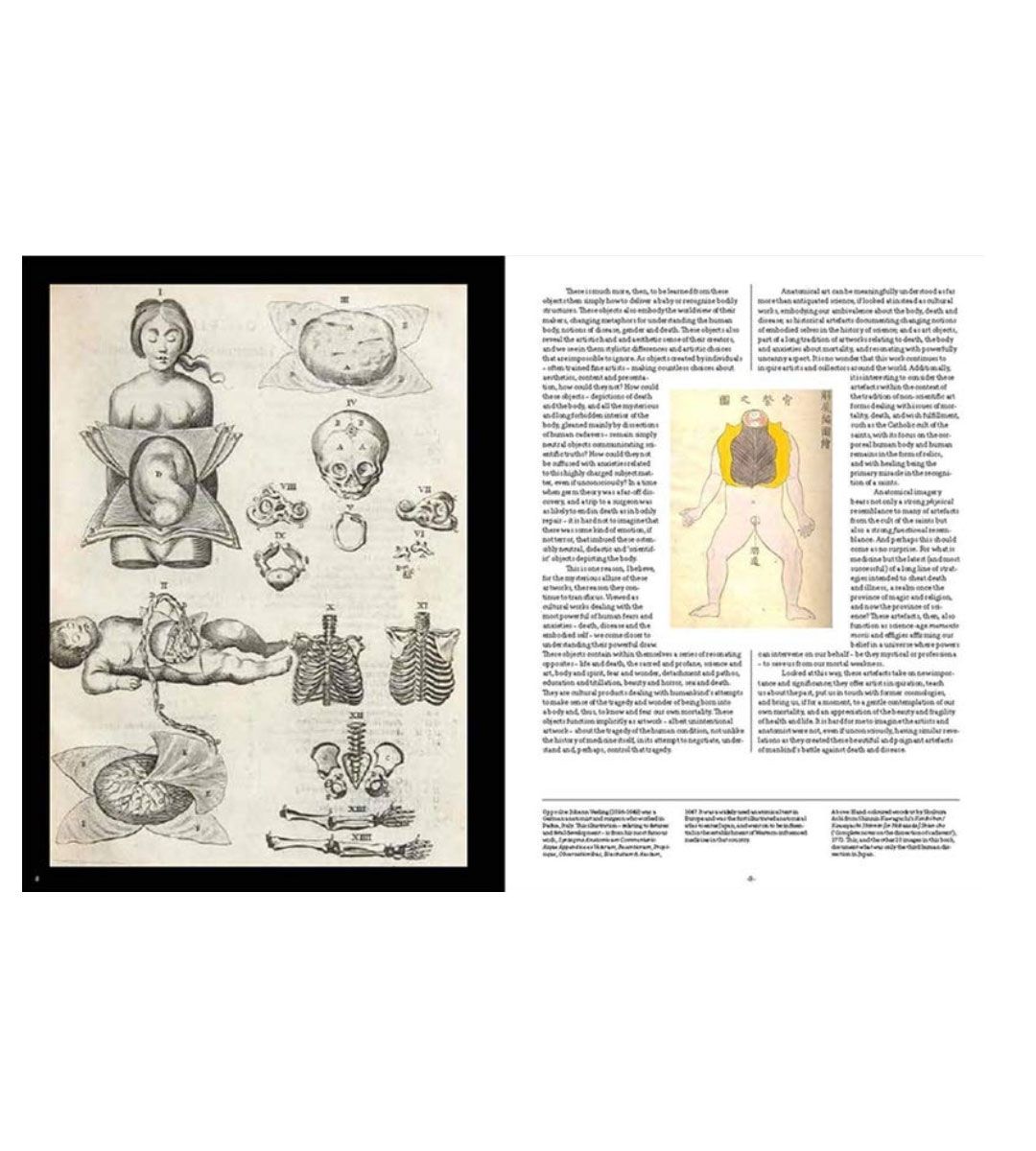 Anatomica, el arte exquisito e inquietante de la anatomía humana