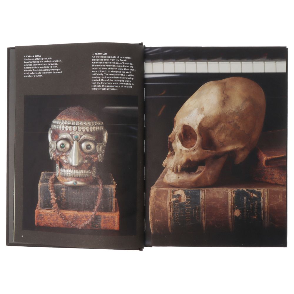 Skulls Retratos de los muertos y las historias que cuentan