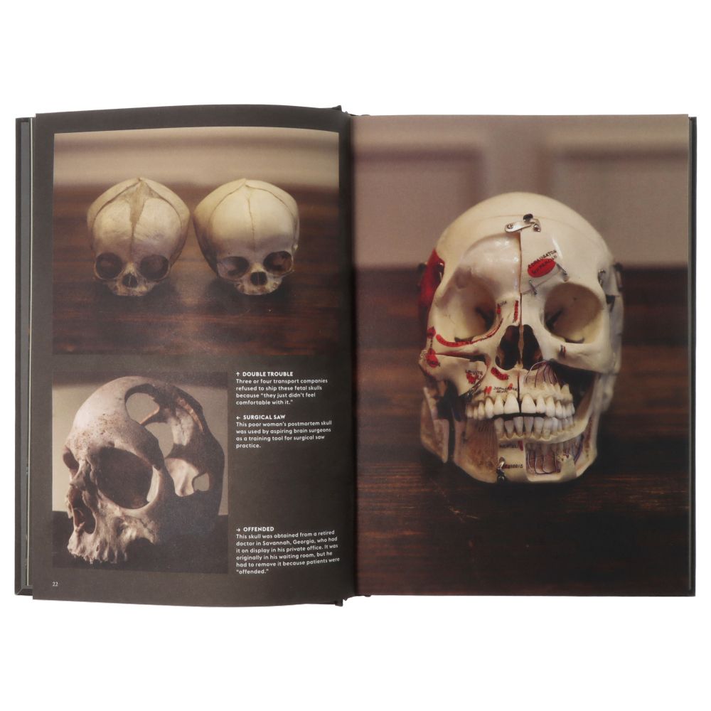 Skull Portraits of the Dead and the Stories They Tell