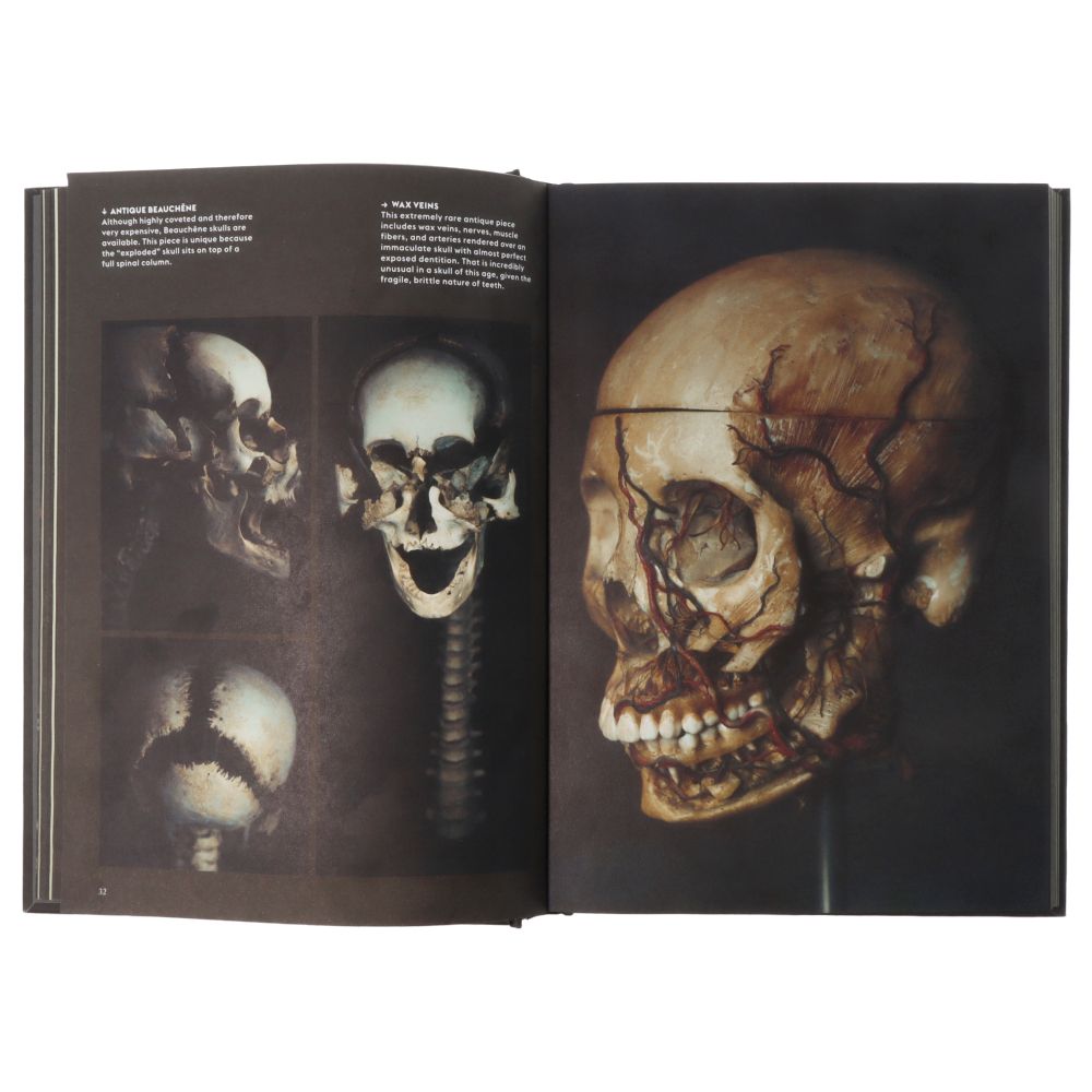 Skulls Retratos de los muertos y las historias que cuentan