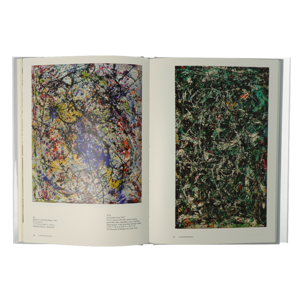 Jackson Pollock : Phaidon Focus