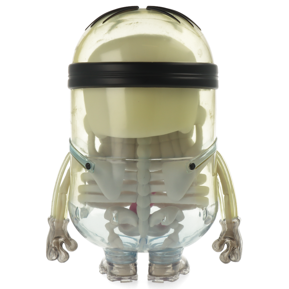 Minions Anatomy 8” Art Figure by Kidrobot