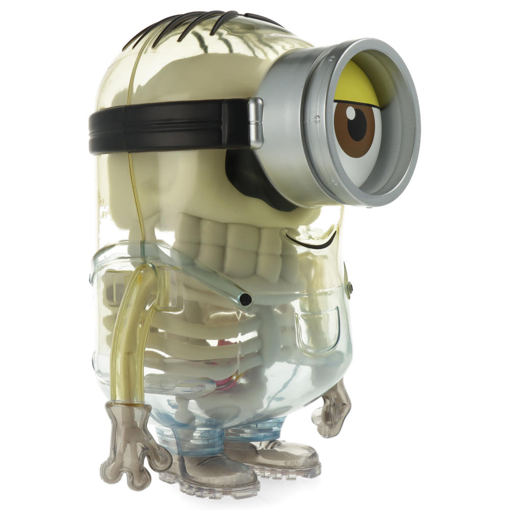 Minions Anatomy 8” Art Figure by Kidrobot
